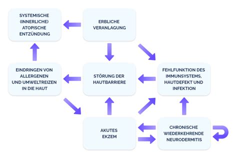 Neurodermitis Entz Ndung Ursachen Nia