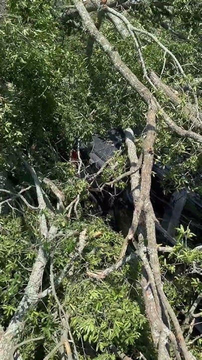 Millington Tn Storm Damage June 25 2023 Youtube