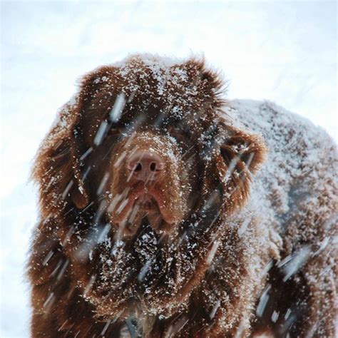 Stunning Images from the Newfoundland Photography Contest