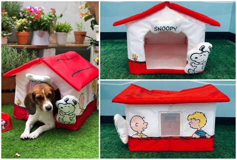 毛小孩也要一起史努比boom！7 Eleven「snoopy And Friends」集點第二彈，4款寵物用品可愛炸裂！ Vogue Taiwan