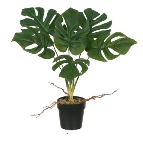 Planta Artificial Costela de Adão Verde Florarte Leroy Merlin