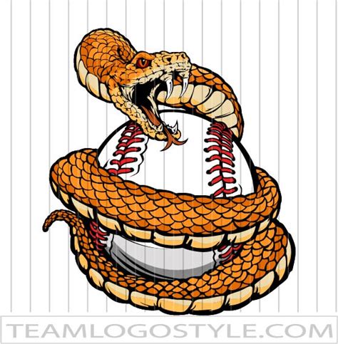 Rattlers Baseball - Viper Image in Vector Format | AI JPG EPS PNG