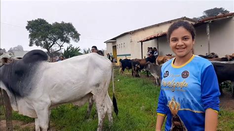 Feira Do Gado Na Cidade De Ibiapina Cear Dia Uma Feira