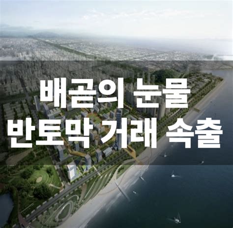 집값 반토막 난 시흥 배곧신도시 그 사연은배곧 서울대병원 유찰 네이버 포스트