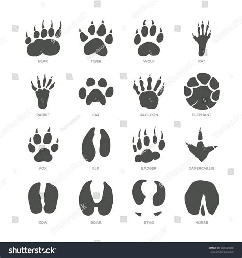 400 Rat footprint Images, Stock Photos & Vectors | Shutterstock