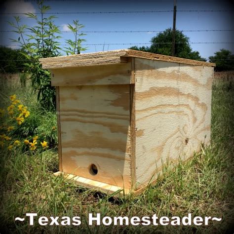 How To Build A Quick Frame Beehive Nuc Box Texas Homesteader