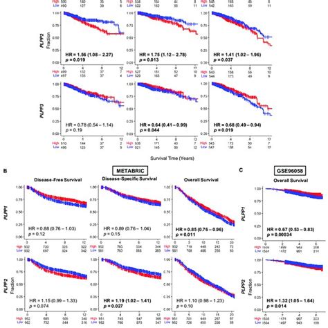 Survival Plots For Low And High Lpp Gene Expression In Breast Cancer