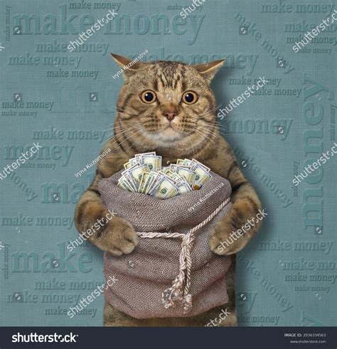 Cats With Money