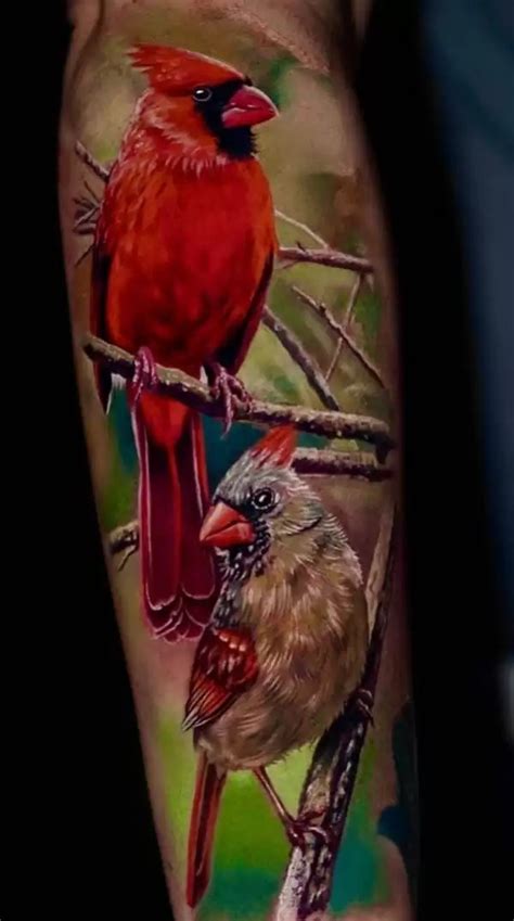 Details more than 61 blue jay and cardinal tattoo latest - in.coedo.com.vn