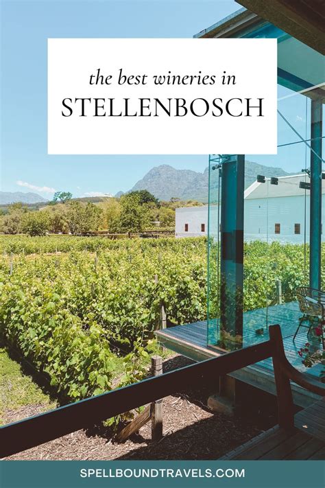 7 Best Stellenbosch Wineries and Vineyards to Visit - Spellbound Travels