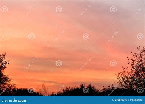 Colorful Pink And Orange Sunset Sky Background Stock Image Image Of