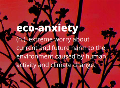 Eco Anxiety Workshops Surefoot Effect