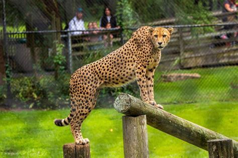 Cape May County Zoo Is One Of Our Favorite Things To Do In New Jersey ...