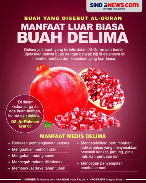 Buah Delima Merah