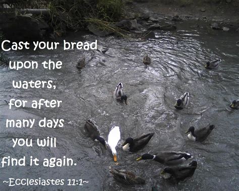 Bible Verse Cast Your Bread Upon The Water - Bread Poster