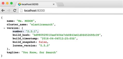 C Mo Crear Ndices De Elasticsearch Linuxteaching