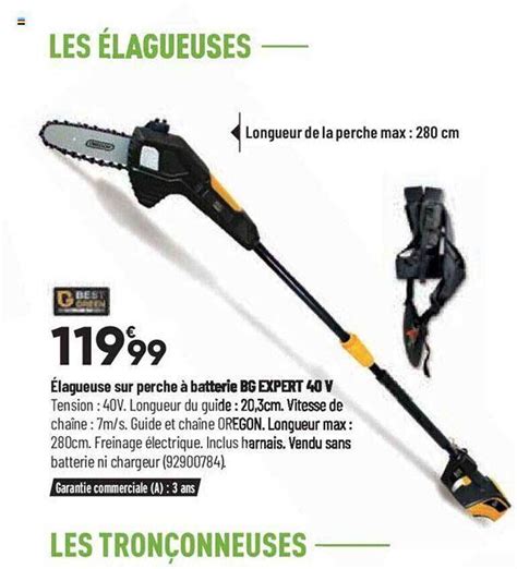 Promo Élagueuse sur perche à batterie bg expert 40v best green chez