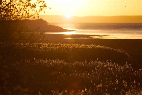 Newport Wetlands Nature Reserve Gwent The RSPB