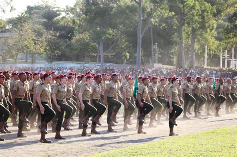 registrado em Notícias