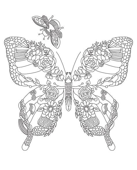 Adult Butterfly Coloring Pages Artofit