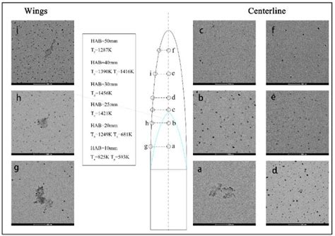 Figure 1 From The Evolution Of Soot Morphology For The Maturation Of