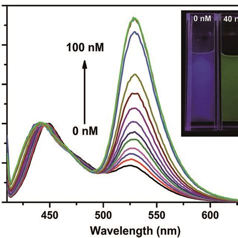 The Fluorescence Response Of Pfepn In The Presence Of Ssdnac With