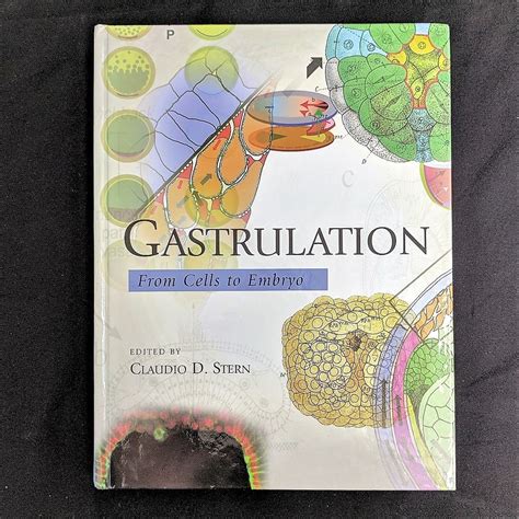 Gastrulation From Cells To Embryo Stern Claudio 9780879697075