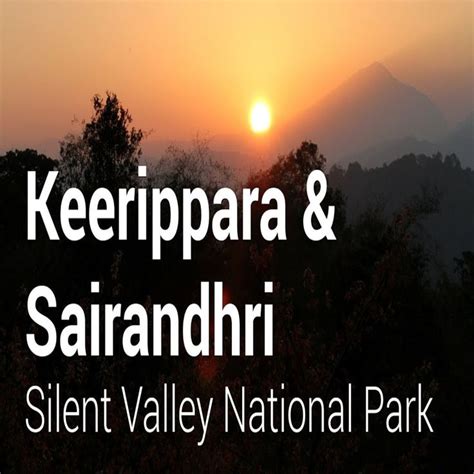 Keerippara Camping Sairandhri Trip Tour Packages Kerala Tourism Trip