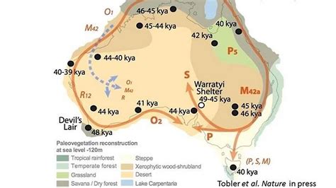 SBS Language | A scientific study of Aboriginal DNA has discovered new ...