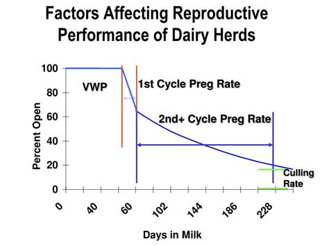 Ppt Optimizing Reproduction In Dairy Cattle Powerpoint Presentation Free Download Id 4683626