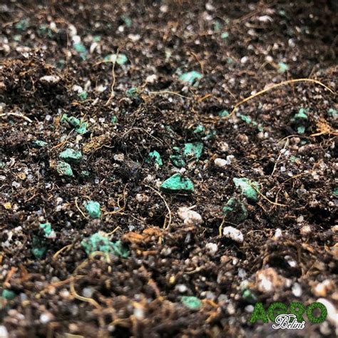 Грунт для адениума (2,5л) AGROBELINI - купить по низкой цене в интернет ...