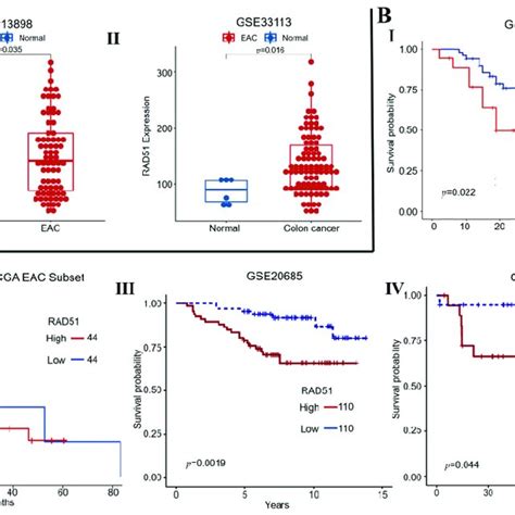 Elevated RAD51 Expression Correlates With Poor Survival Of Cancer