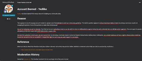 NexusMods Removes Problematic Baldur S Gate 3 Mod That Makes Lesbian Romance Heterosexual