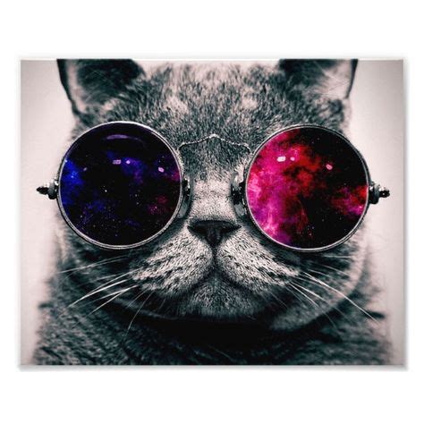 Foto gato dos óculos de sol Zazzle br Gato oculos Gato