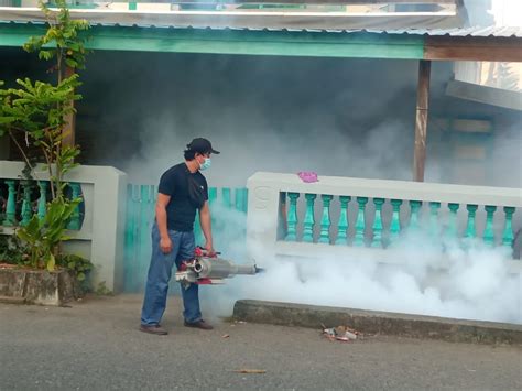 Respon Kasus Dbd Dinkes Selayar Lakukan Fogging I Obormotindok