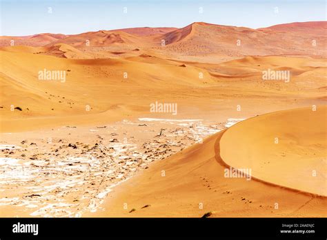 Rote Sanddünen im Deadvlei Sossusvlei Namib Naukluft Nationalpark