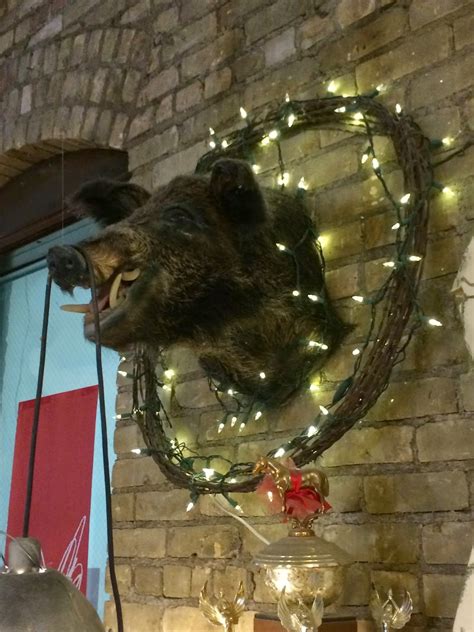 The Indie Bob Spot: Wild Rumpus Bookstore - Minneapolis, MN