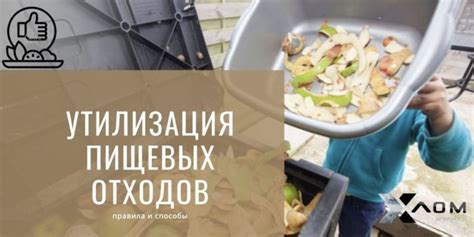 Утилизация пищевых отходов по СанПиН: правила и способы — Портал о ломе ...