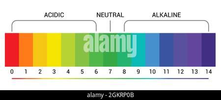 La Scala Di Ph Indicatore Universale Ph Colore Schema Grafico Acida