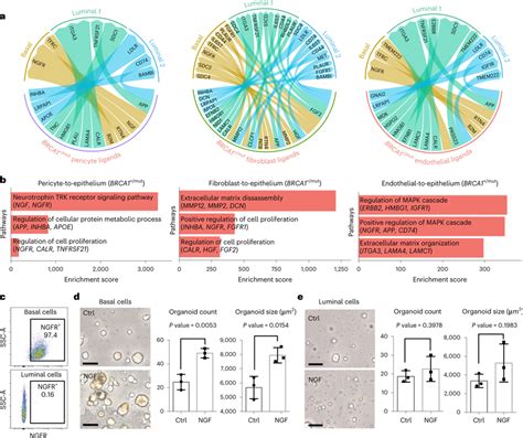 Receptorligand Interaction Analysis Reveals Increased Stromal Download Scientific Diagram