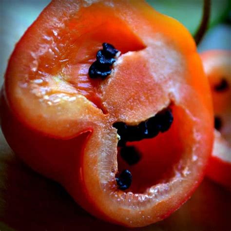 Rocoto Pepper (Ají Rocoto, Locoto) | Cayenne Diane