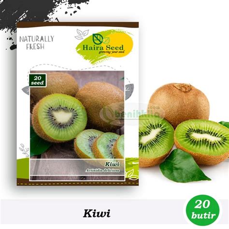 Jual Benih Bibit Buah Kiwi Haira Seed Di Lapak Benihkita Official