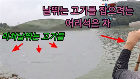 배스낚시 대회중 때피딩을 목격 후 그곳을 공략하려는 어리석은자 Youtube