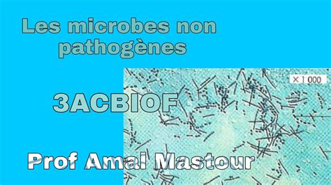 Les Microbes Non Pathog Nes Acbiof Youtube