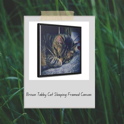 Brown Tabby Sleeping Gallery Canvas Wraps, Square Frame - Etsy