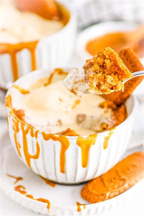 Biscoff Mug Cake The Picky Eater