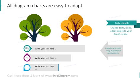 Modern Tree Diagram PowerPoint Template for Branch Infographics and ...