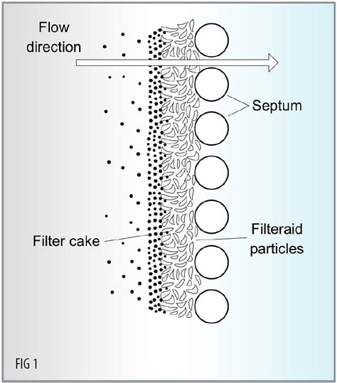 Diatomaceous Earth Filter Diagram