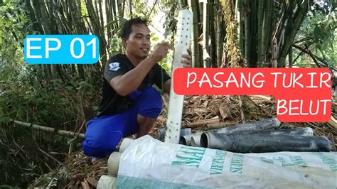 Pasang Tukir Bubu Belut Di Parit YouTube