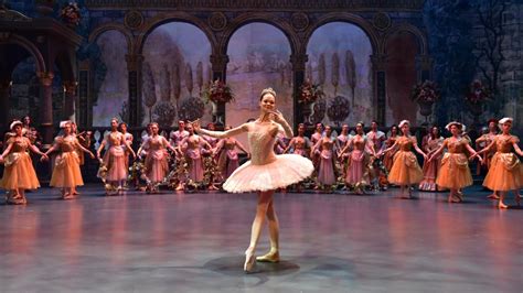 La Ballerina Del Bolshoi